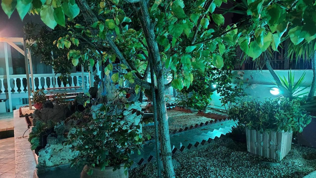 Cozy Airport Studio 2 أرتيميدا المظهر الخارجي الصورة